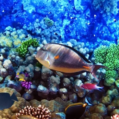 Sharm-El-Naga-Individual-Excursion-Hurghada-e1669125702228