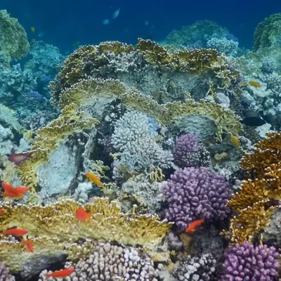 Sharm-El-Naga-Private-Trip-Safaga-e1672187951240